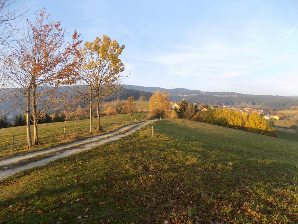 Apartment Zeleni Dragulj Pohorje Oplotnica 외부 사진