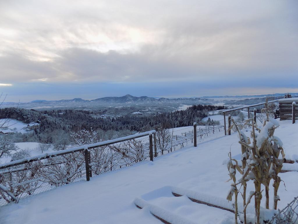 Apartment Zeleni Dragulj Pohorje Oplotnica 외부 사진